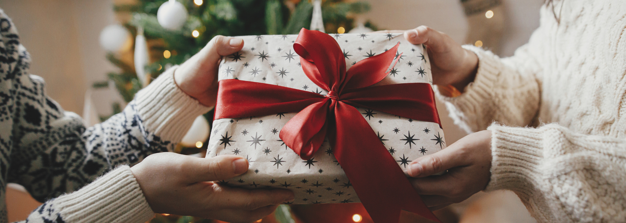 NeoGenesis Holiday Gift Guide
